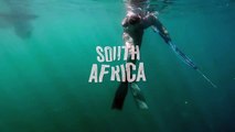 Une grosse attaque de requin blanc en Afrique du Sud !