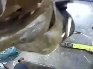 Animatronic Alligator - Behind the Scenes