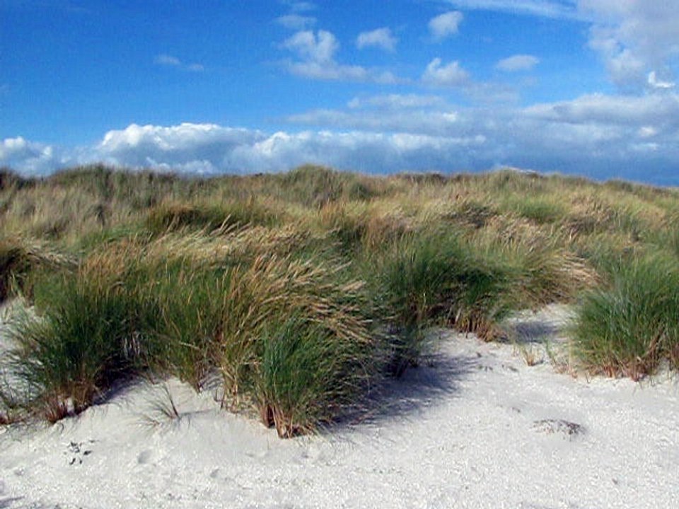 Am Strand von Napstjert in Dänemark