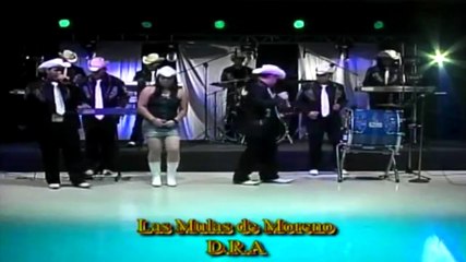 GRUPO BRANDY EL SALVADOR LAS MULAS DE MORENO