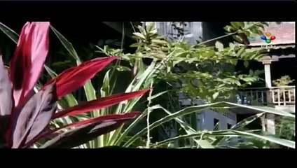 PNN កញ្ញាអំពិលផ្អែម  Part 05