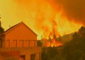 Un incendio forestal se registro en Francia