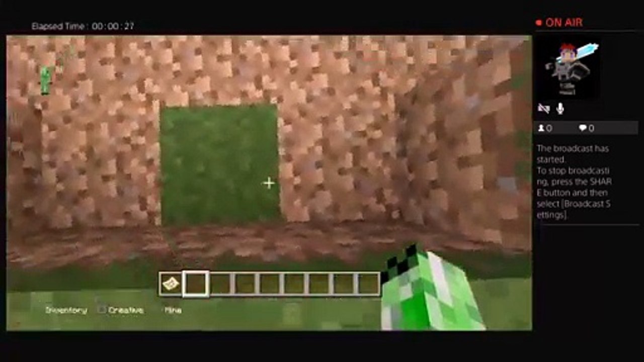 Minecraft pros (28)