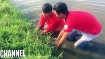 AMAZING Fishing By Hand on River in Siem Reap Province Cambodia Traditional Fishing #8