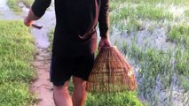 AMAZING Fishing With Angrout In River - Net Fishing In Siem Reap Province Khmer Cast Net Fishing #18