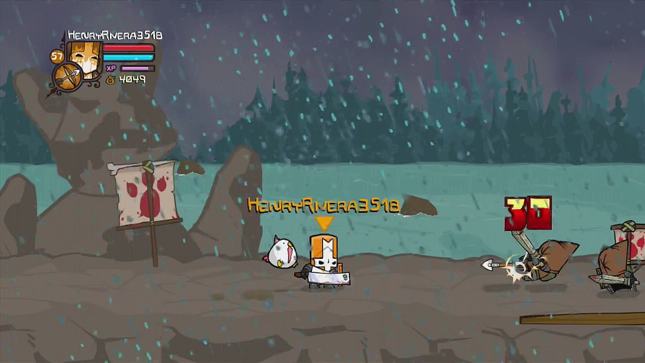 Castle Crashers 9