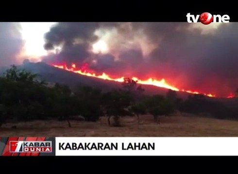 1,7 Juta Hektar Lahan Terbakar di Amerika Serikat