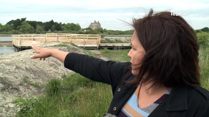 Sarzeau (56). Entre plage et château, connectez-vous à la nature de Suscinio