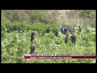 Demiraj në “7pa5”: Pastruam Shqipërinë nga kanabisi - News, Lajme - Vizion Plus