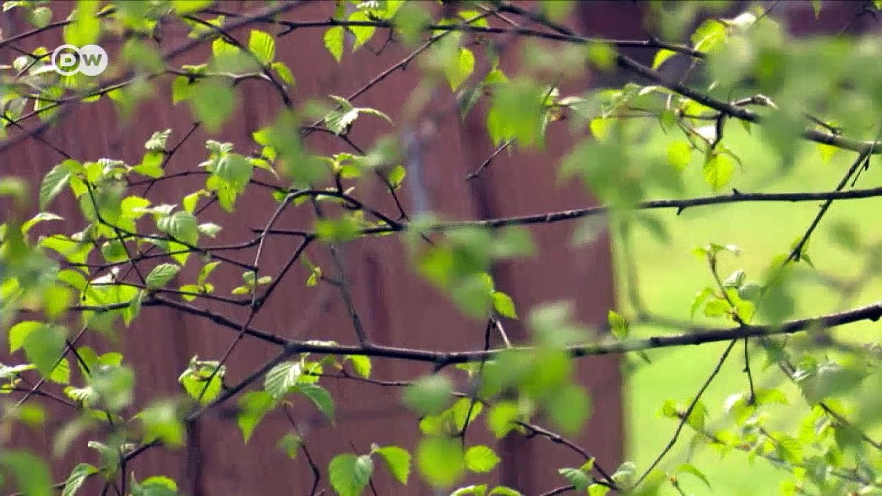 Das Erbe des SS-Mannes | DW Deutsch