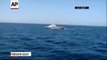Raw US Navy Fires Warning Shots Near Iran Ship