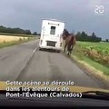 Une horrible vidéo enrage des millions de personnes, mais vous êtes loin de voir toute l'horreur!