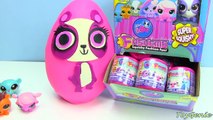 Littlest Pet Shop LPS Play-Doh Surprise Cans! Toys Fashems - Zoey Trent, Sunil, Pepper