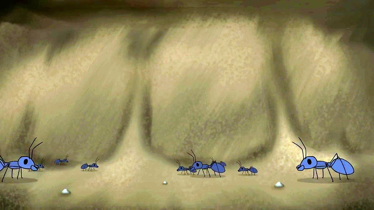 Some Ants