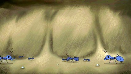Some Ants