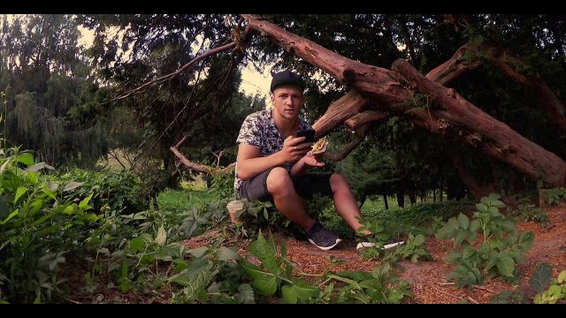 ОТВЕТЫ НА ВОПРОСЫ! (Лиза, Милена, Синяк, Соболев, Мопс) / Андрей Мартыненко