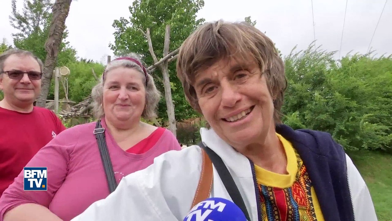 Huan Huan, la femelle panda du zoo de Beauval, est enceinte