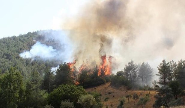 İzmir'de orman yangını devam ediyor... İki mahalle tahliye edildi