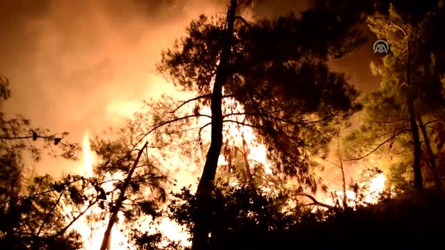 Ormanlık Alanda Çıkan Yangını Söndürme Çalışması Devam Ediyor