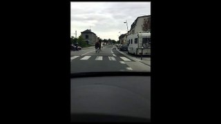 Amiens : des chevaux s'échappent sur la route