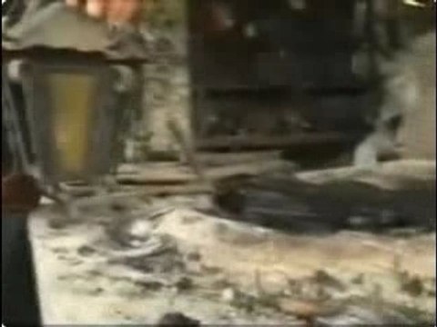 Pasion-detras de las camaras