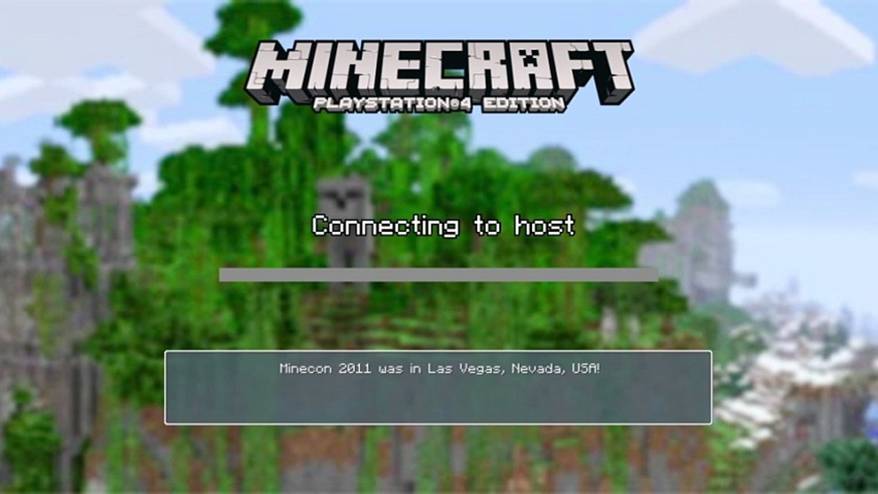 Diffusion PS4 en direct sur minercraf puzzle (17)