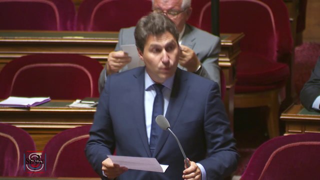 Questions au gouvernement sur la couverture en téléphonie mobile des territoires ruraux