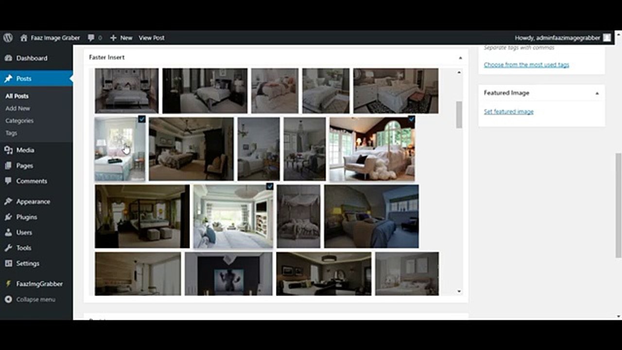 FaazImageGrabber Review Demo