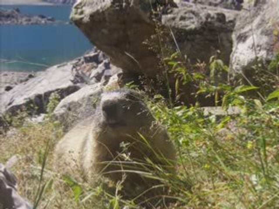 Balade au Lac du Lauvitel (version complète).