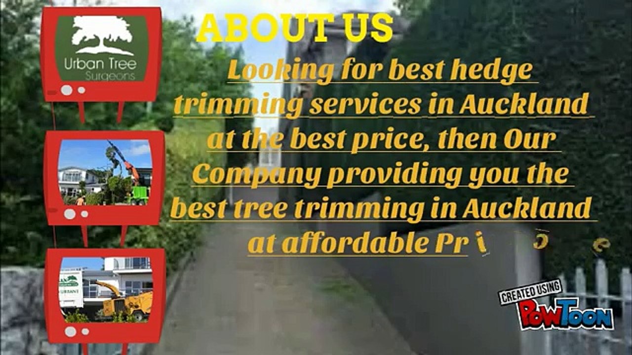 Get Best Tree removal Services in Auckland at Lowest Price