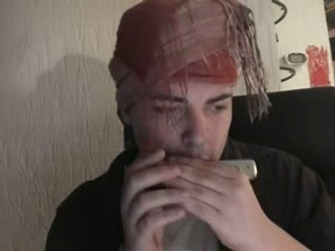 Harmonica - Education Sentimentale - Maxime Le Forestier