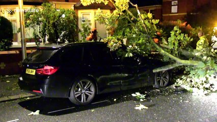 Lightning strike topples tree onto BMW