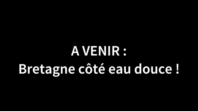 A la découverte des plans d’eau de la Bretagne intérieure