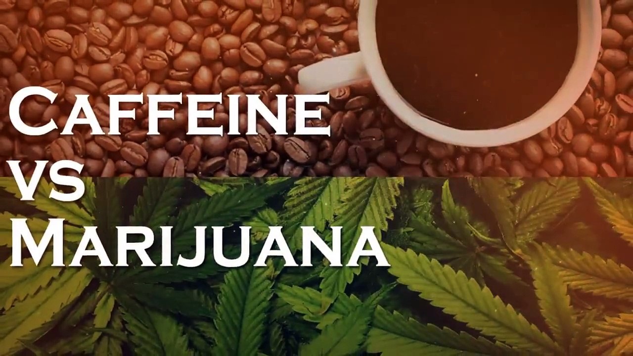 Caffeine Vs Marijuana