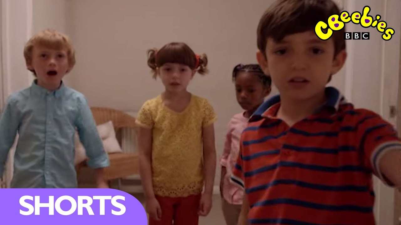 Topsy and Tim  - Remember This