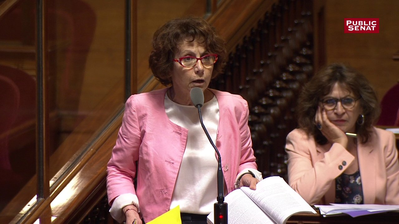 Plafond des indemnités prud'homales : "On marche sur la tête", déclare Laurence Cohen