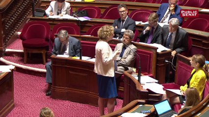 « L’insécurité juridique », l'un des « freins à la création d’emplois », pour Muriel Pénicaud