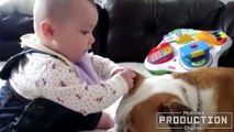 Babies annoying dogs – Cute and funny baby & dog compilation