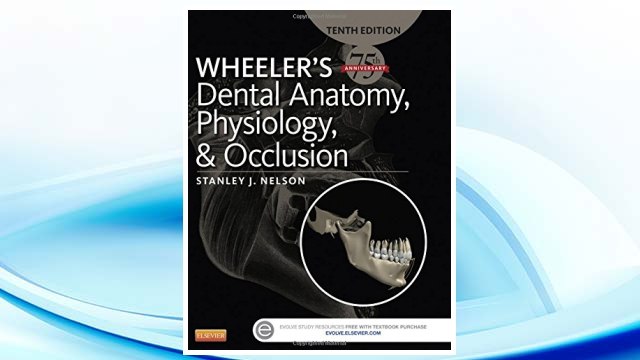Download PDF Wheeler's Dental Anatomy, Physiology and Occlusion, 10e FREE