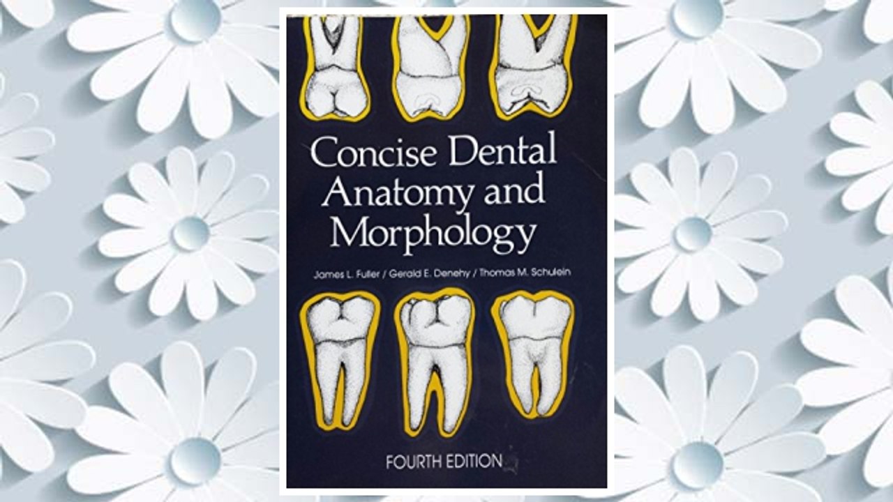 Download PDF Concise Dental Anatomy and Morphology FREE