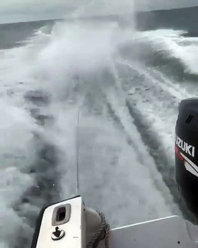 3 américains maltraitent un requin