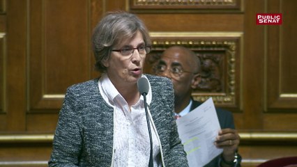 Ordonnances : "C'est une véritable prime aux délocalisations", dénonce Marie-Noëlle Lienemann