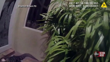 Un policier vs Un aligator