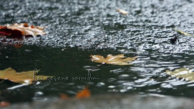 İclal Aydın - Solarken / Sarardım Ben Sarardım (feat. Rubato) (Lyric Video)