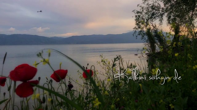 İclal Aydın - Bir Servi Diktim / Şu Karşıki Dağda (feat. Mümin Sarıkaya) (Lyric Video)