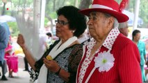 Danzón cubano para abuelitos en Ciudad de México