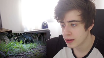 ASSISTINDO O MEU FILME