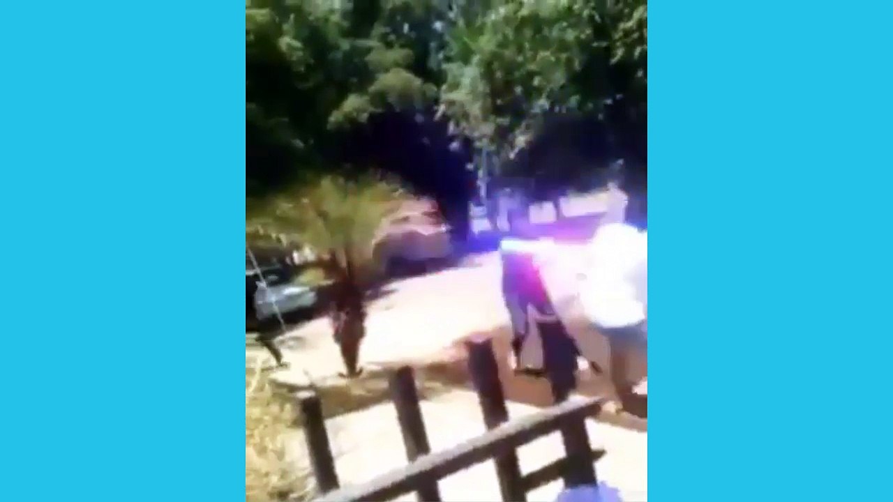 VIRALES Y FAILS MAS VISTOS DE LA CUARTA SEMANA DE JULIO 2017 PARTE 2 nuevo