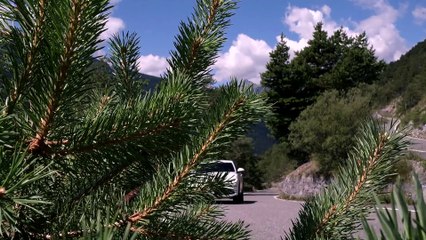 Alfa Romeo Stelvio Drive Day