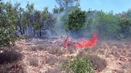 Mejora la situación de incendios en Francia y Portugal